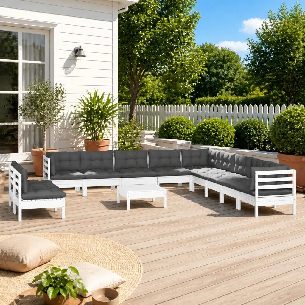 12-Piece Lounge Set and Cushions