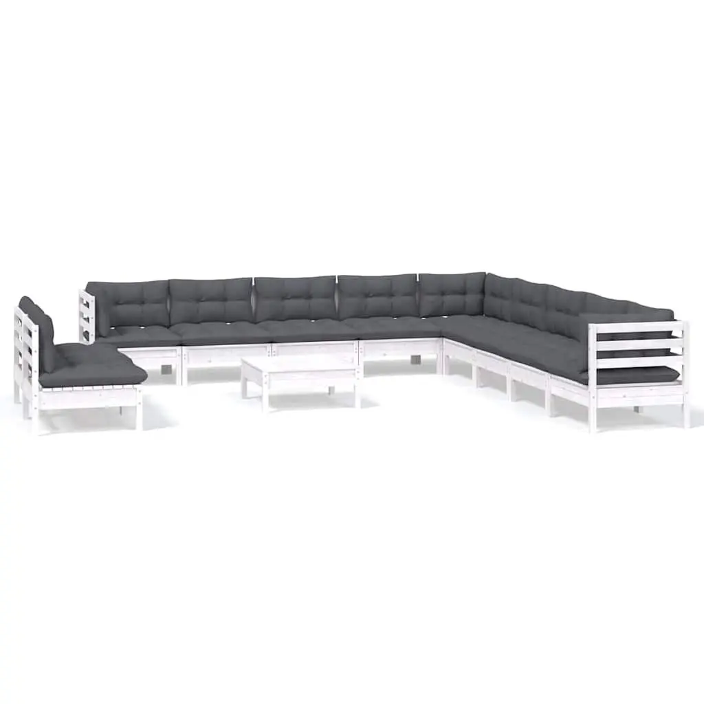 12-Piece Lounge Set and Cushions