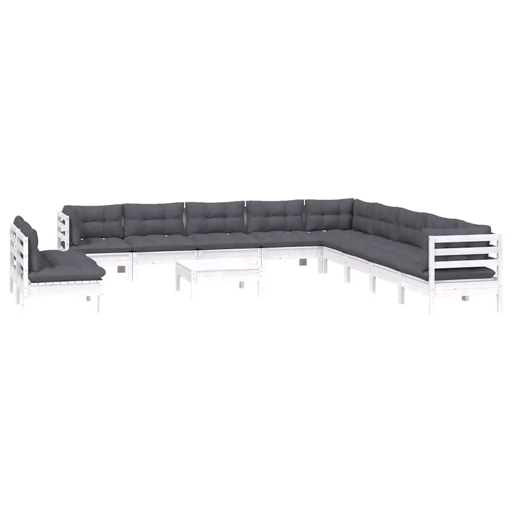 12-Piece Lounge Set and Cushions