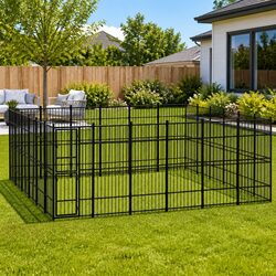 Create a Safe Outdoor Space for Your Dog