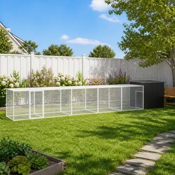 Create a Cozy Habitat with This Chicken Cage