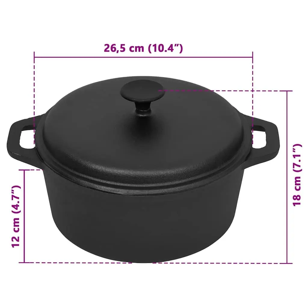 Cast Iron Stock Pot for Family Meals