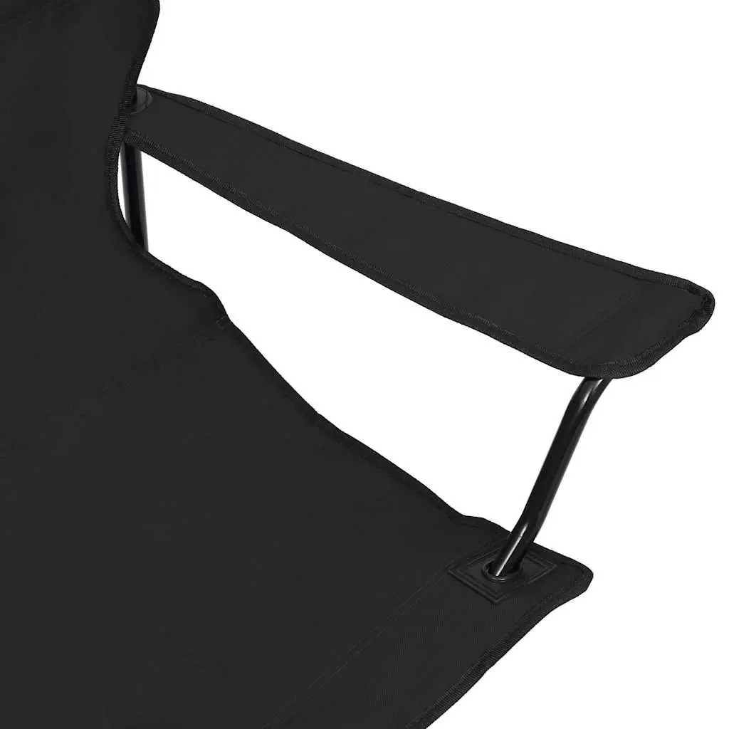 2-Seater Foldable Camping Chair Portable Black Steel Frame Water-Repellent Oxford Fabric