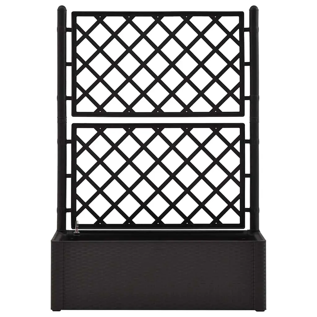 Raised Garden Bed Self Watering Planter Box with Trellis Anthracite