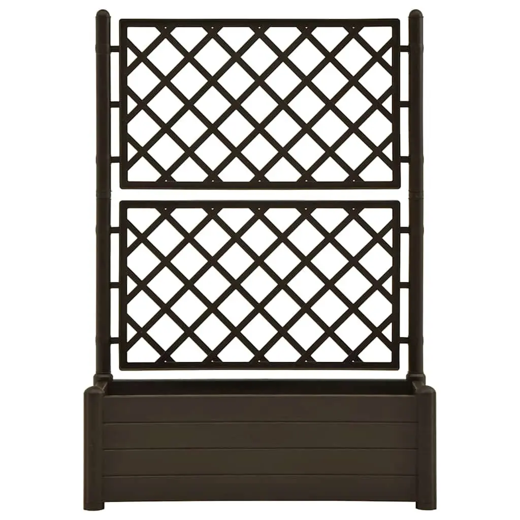 Outdoor Garden Planter with Trellis Support