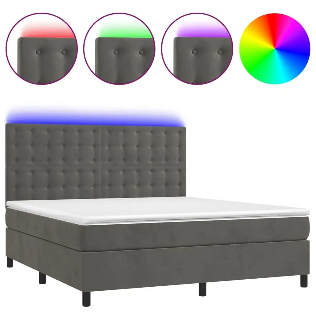 Queen Size Box Spring Bed with LED Lights Grey Velvet