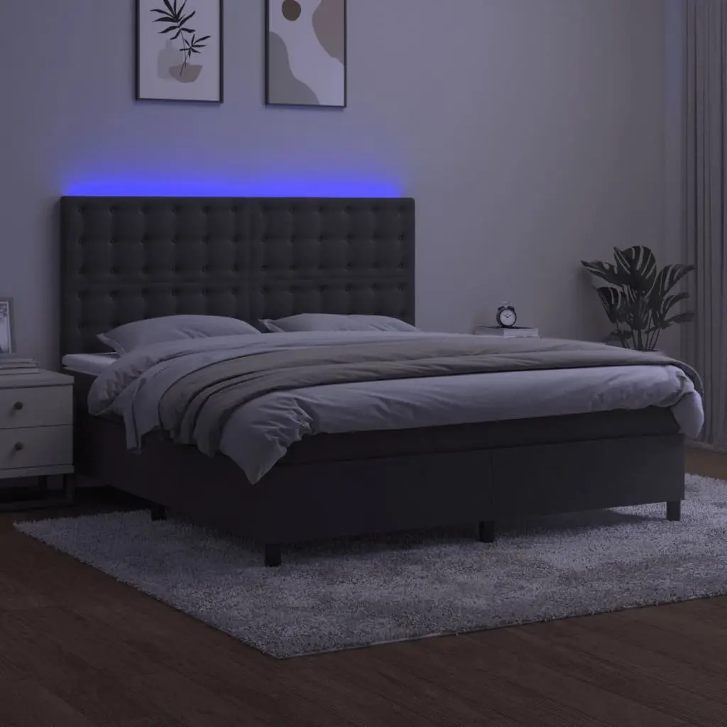 Queen Size Box Spring Bed with LED Lights Grey Velvet