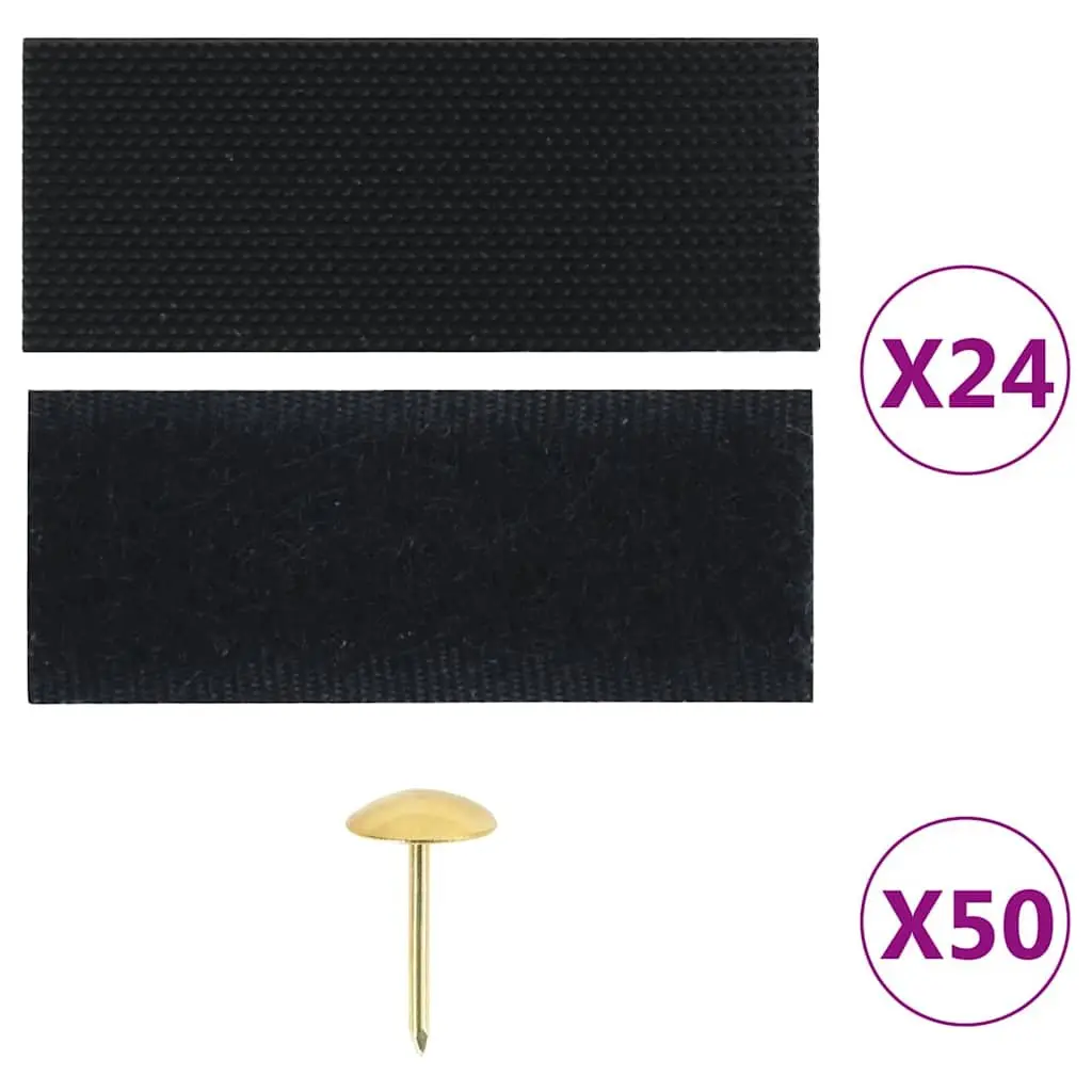 Insect Door Curtains 2 Piece Black 210x90 cm Mesh Screen with Magnet Blocks