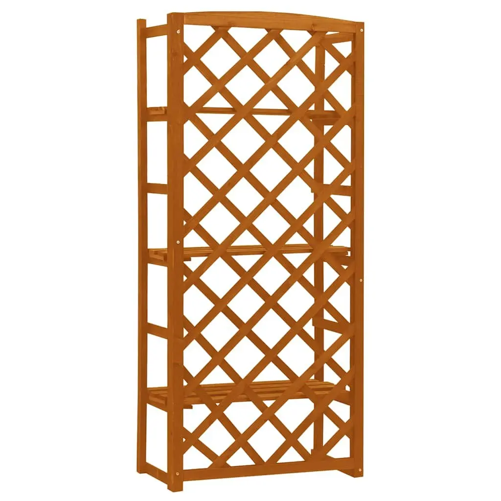 Plant Stand with Trellis Orange 60x30x140 cm Wooden Shelves Garden Display