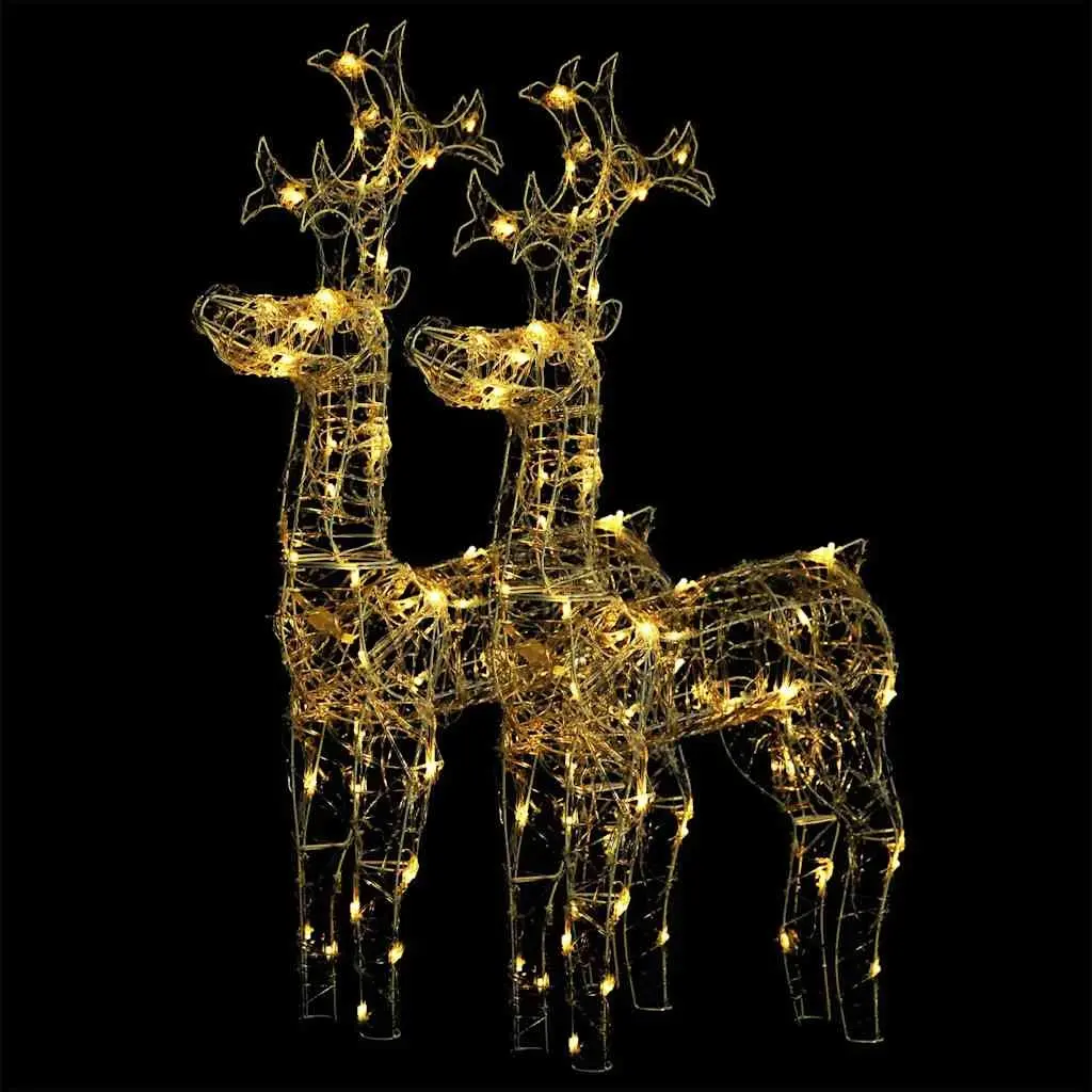 Reindeer Christmas Decorations 2 pcs Acrylic Outdoor Garden Warm White LED