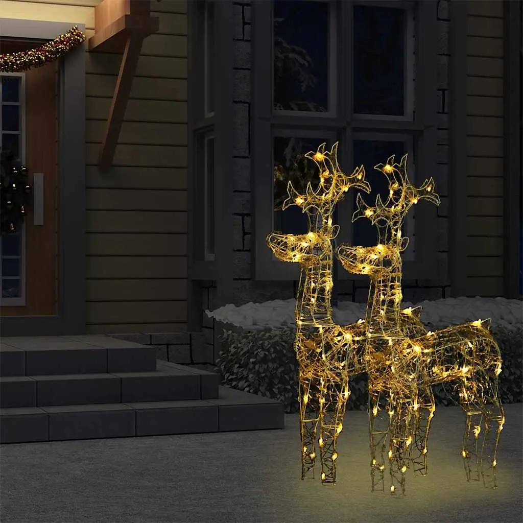 Reindeer Christmas Decorations 2 pcs Acrylic Outdoor Garden Warm White LED