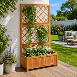 Join the Gardening Fun with Our Raised Bed and Trellis