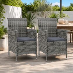 2-Piece Grey Outdoor Chairs Set with Padded Cushions