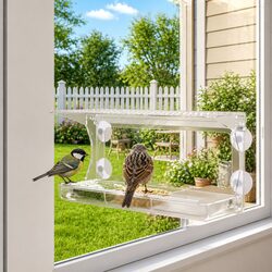 Enjoy Bird Watching with Acrylic Window Feeders