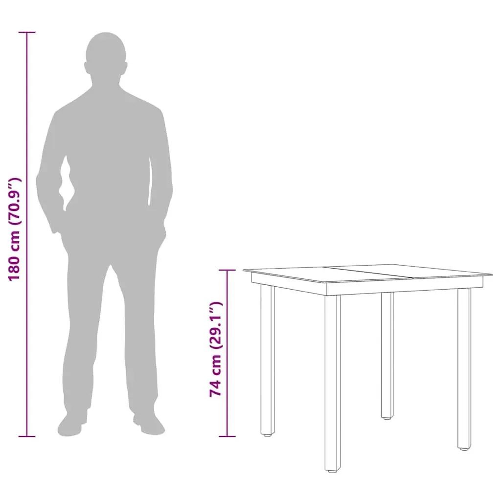Garden Dining Table Black Steel Frame Glass Top 80x80x74 cm