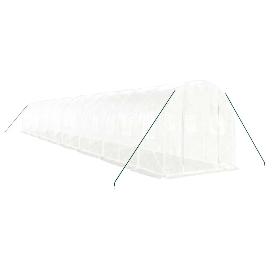 White Greenhouse for Gardening Joy