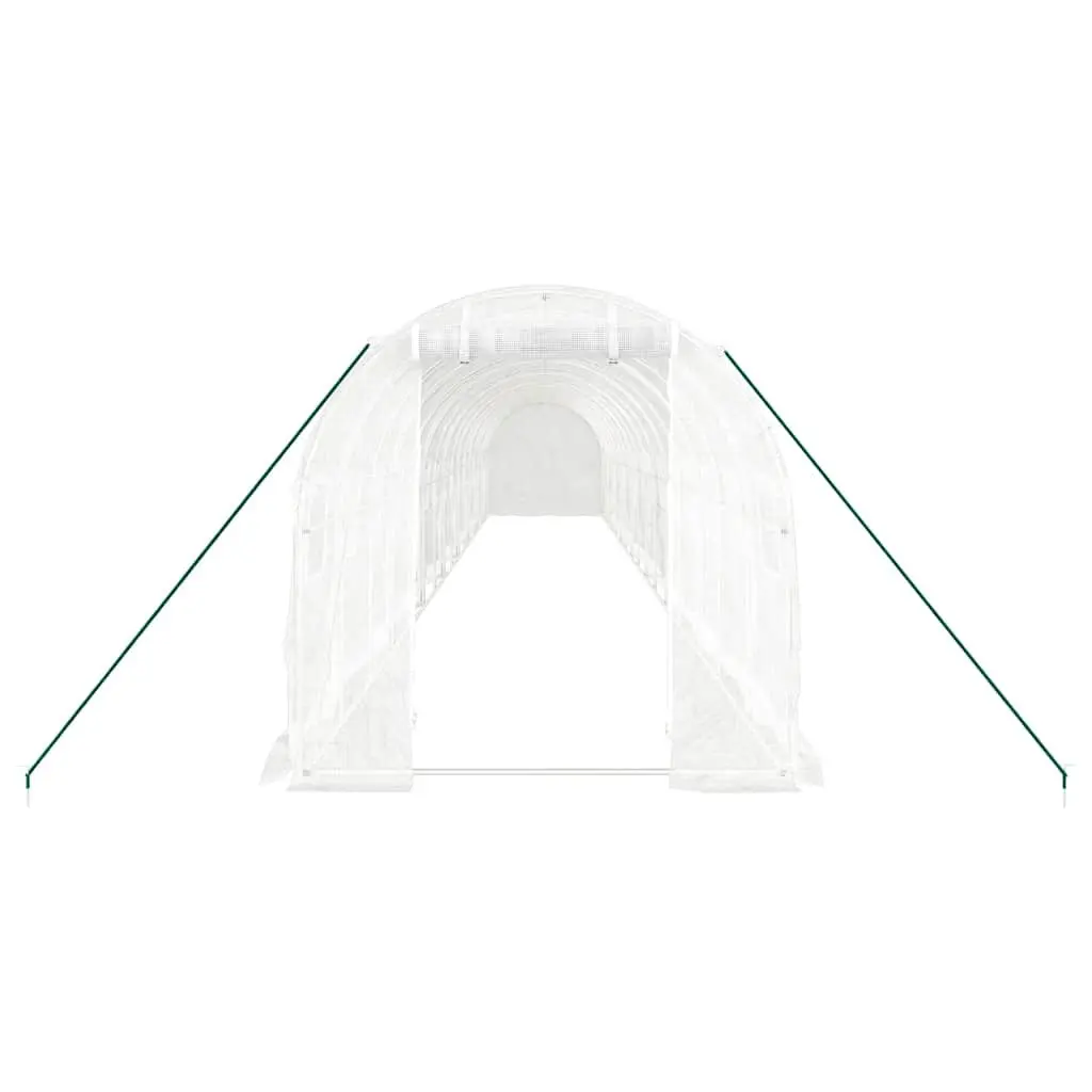 White Greenhouse for Gardening Joy