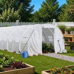 Friendly 12x3x2m Greenhouse - Perfect for Your Garden
