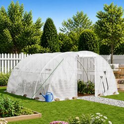 Create Your Ideal Garden with a 4x4x2m Greenhouse