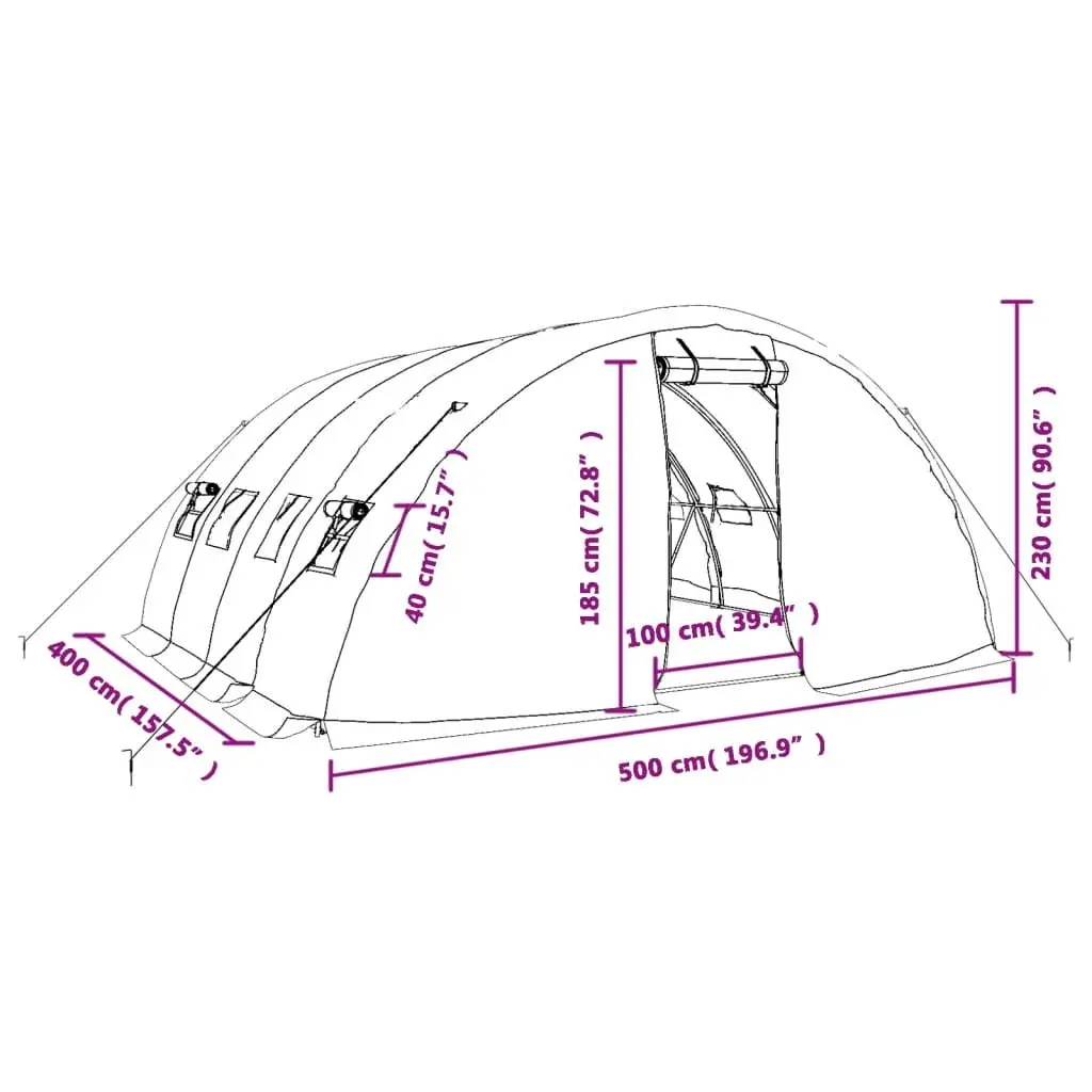 Greenhouse Steel Frame Green 20m² 5x4x2.3m Roll-up Door
