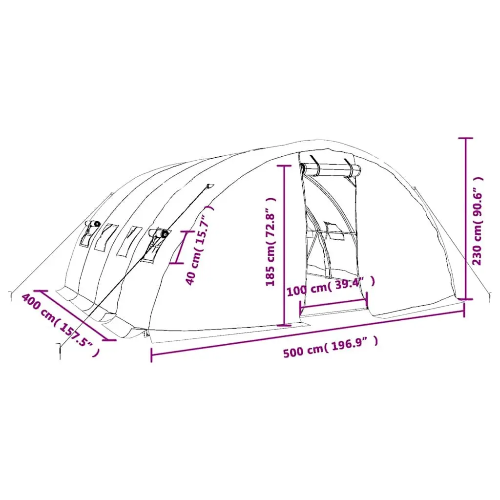 Greenhouse Steel Frame White 20m² 5x4x2.3m Outdoor Plant House