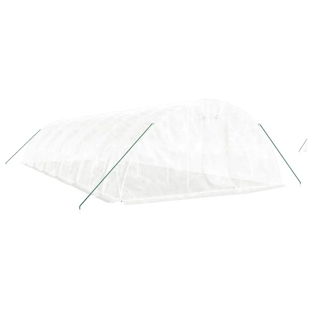 Greenhouse Steel Frame PE Cover 12x5x2.3m White