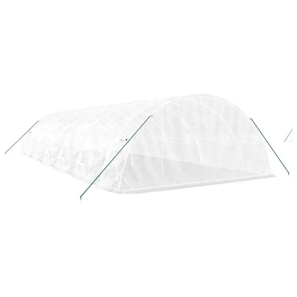 Greenhouse Steel Frame PE Cover 12x5x2.3m White