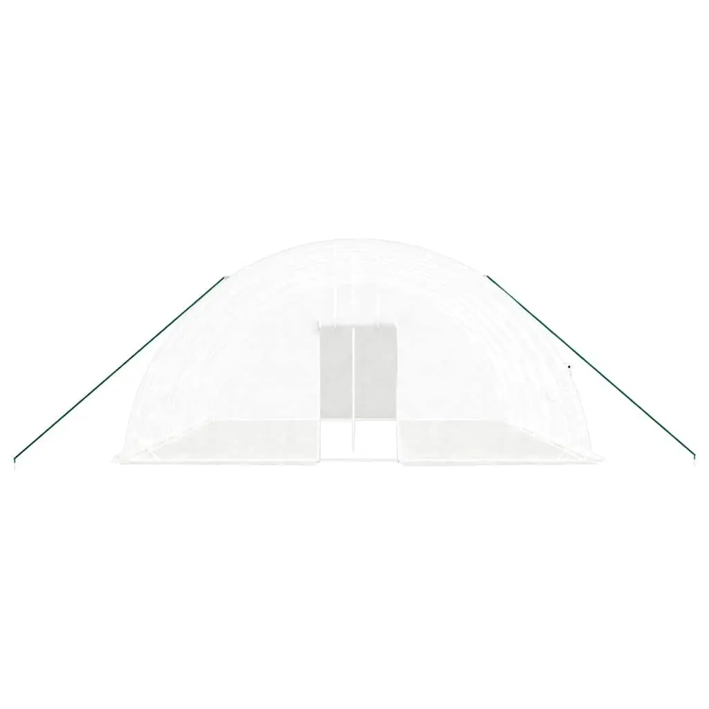 Greenhouse Steel Frame White 6x6x2.85m PE Cover Roll-Up Door Windows