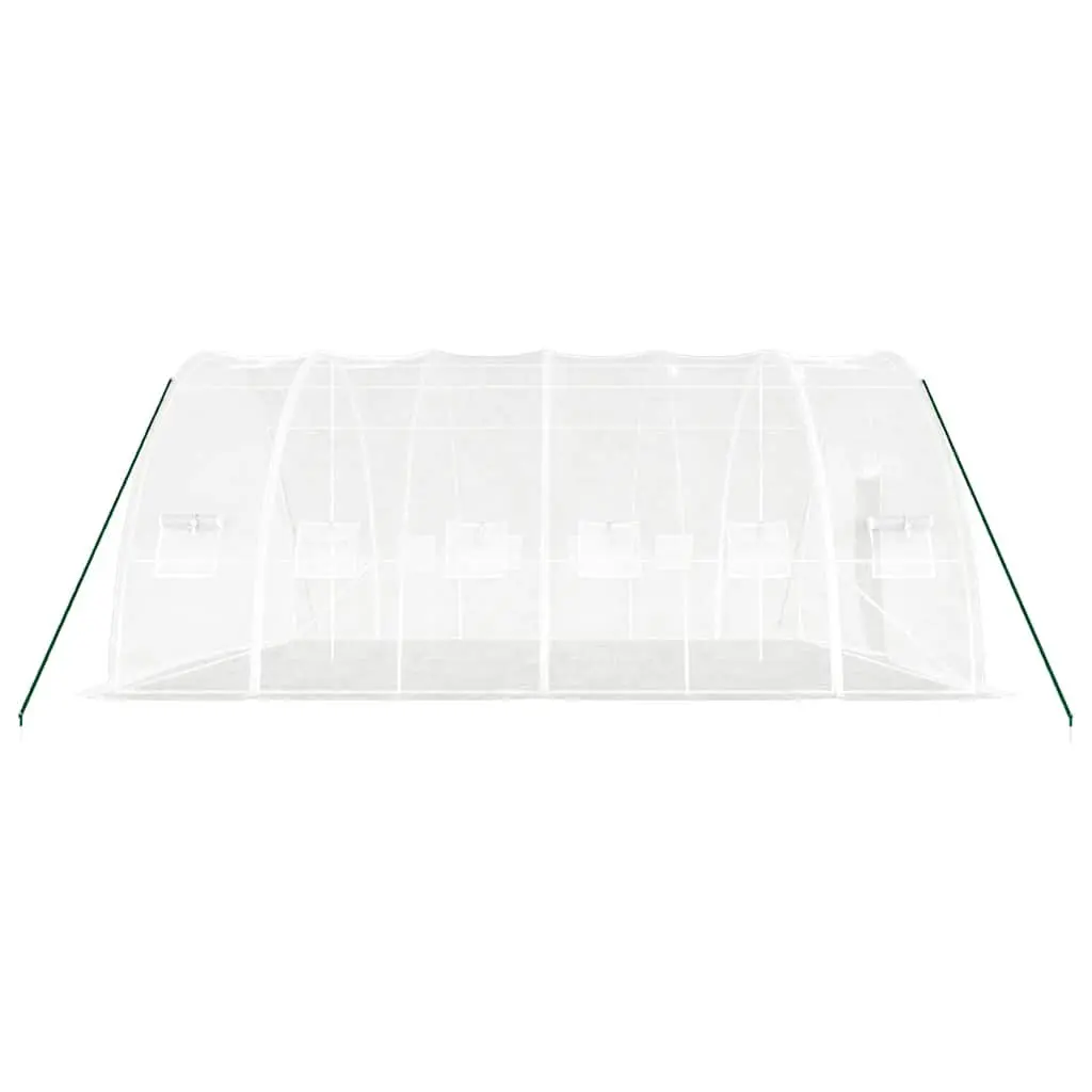 Greenhouse Steel Frame White 6x6x2.85m PE Cover Roll-Up Door Windows