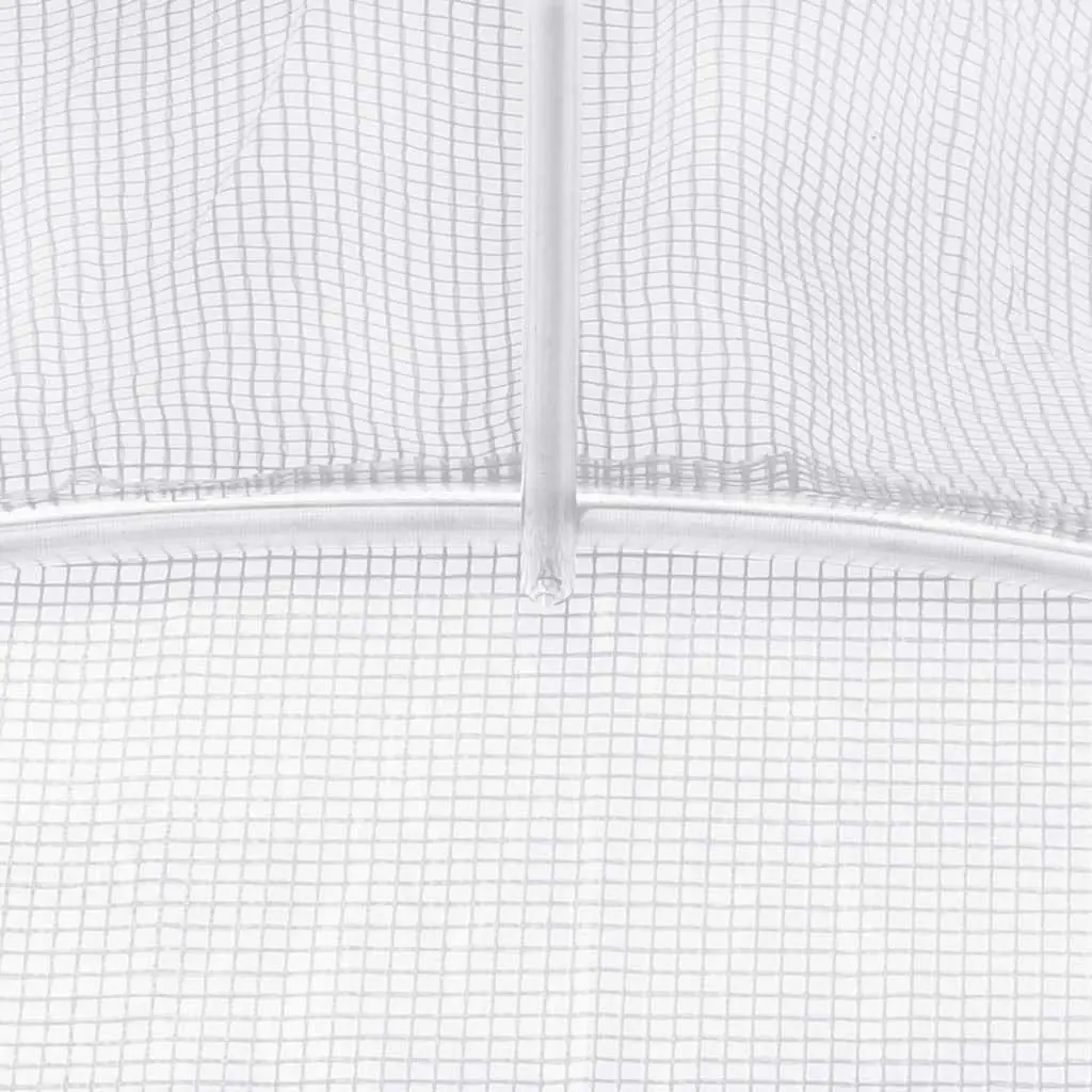 Greenhouse Steel Frame White 6x6x2.85m PE Cover Roll-Up Door Windows