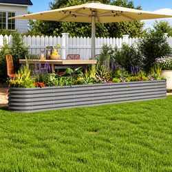 Grow Beautiful Plants in Your Galvanised Steel Planter Box