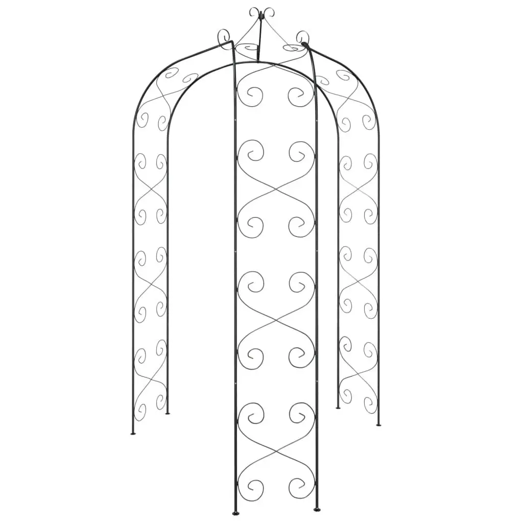 Black Steel Garden Arch for Climbing Plants