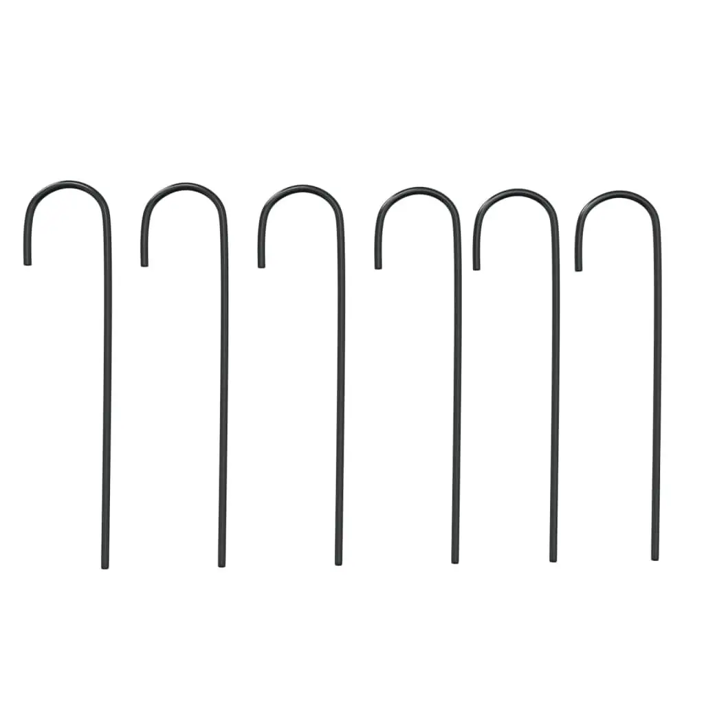 Black Steel Garden Arch for Climbing Plants
