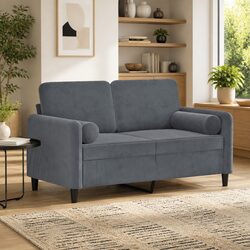 Discover Comfort with This Modern 2-Seater Sofa