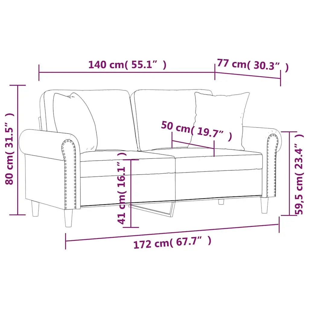 2-Seater Sofa Black Velvet 140cm Modern Lounge Couch with Throw Pillows