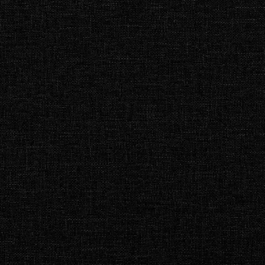 2 Piece Sofa Set Black Fabric Living Room Furniture Lounge Seating with Cushions