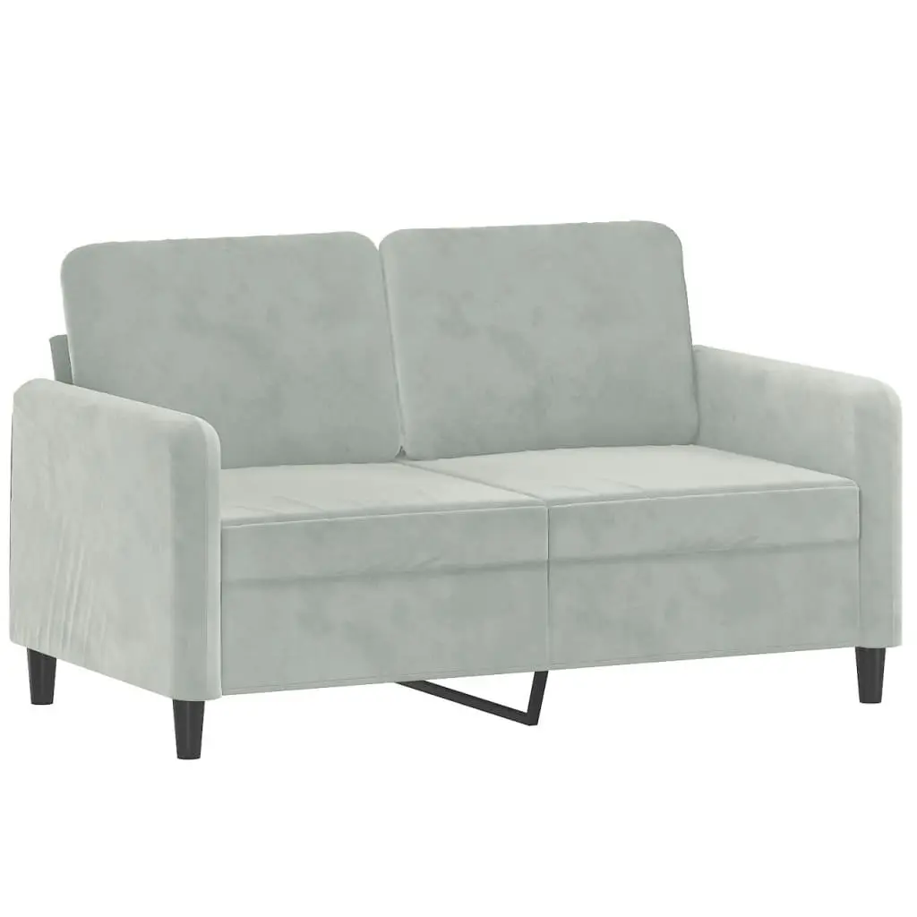 2 Piece Sofa Set Light Grey Velvet Couch with Pillows