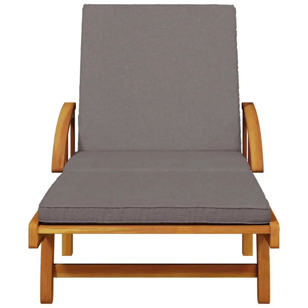 Sun Lounger with Cushion and Table