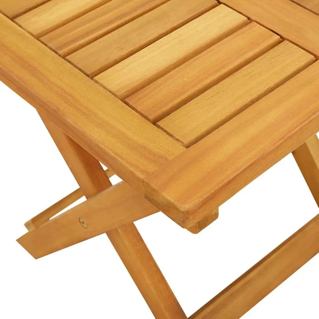 Sun Lounger with Cushion and Table