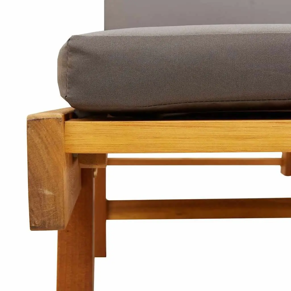 Sun Lounger with Cushion and Table