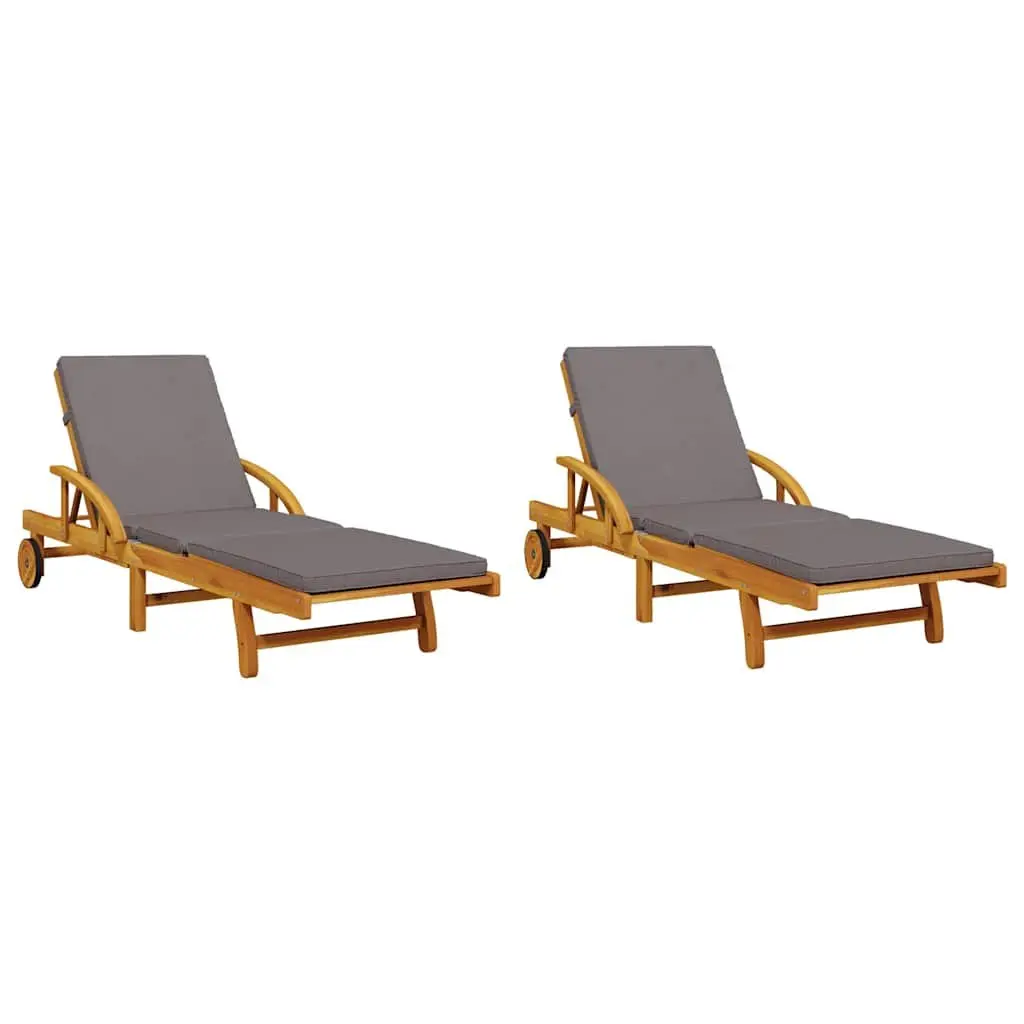 Sun Loungers for Outdoor Enjoyment