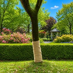 Your Friendly Jute Rolls - 2 pcs, Great for All Occasions