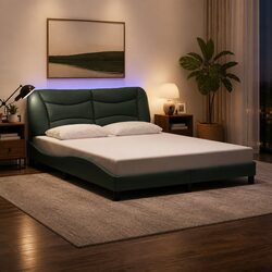 Friendly Queen Bed Frame with LED Lights for Your Comfort