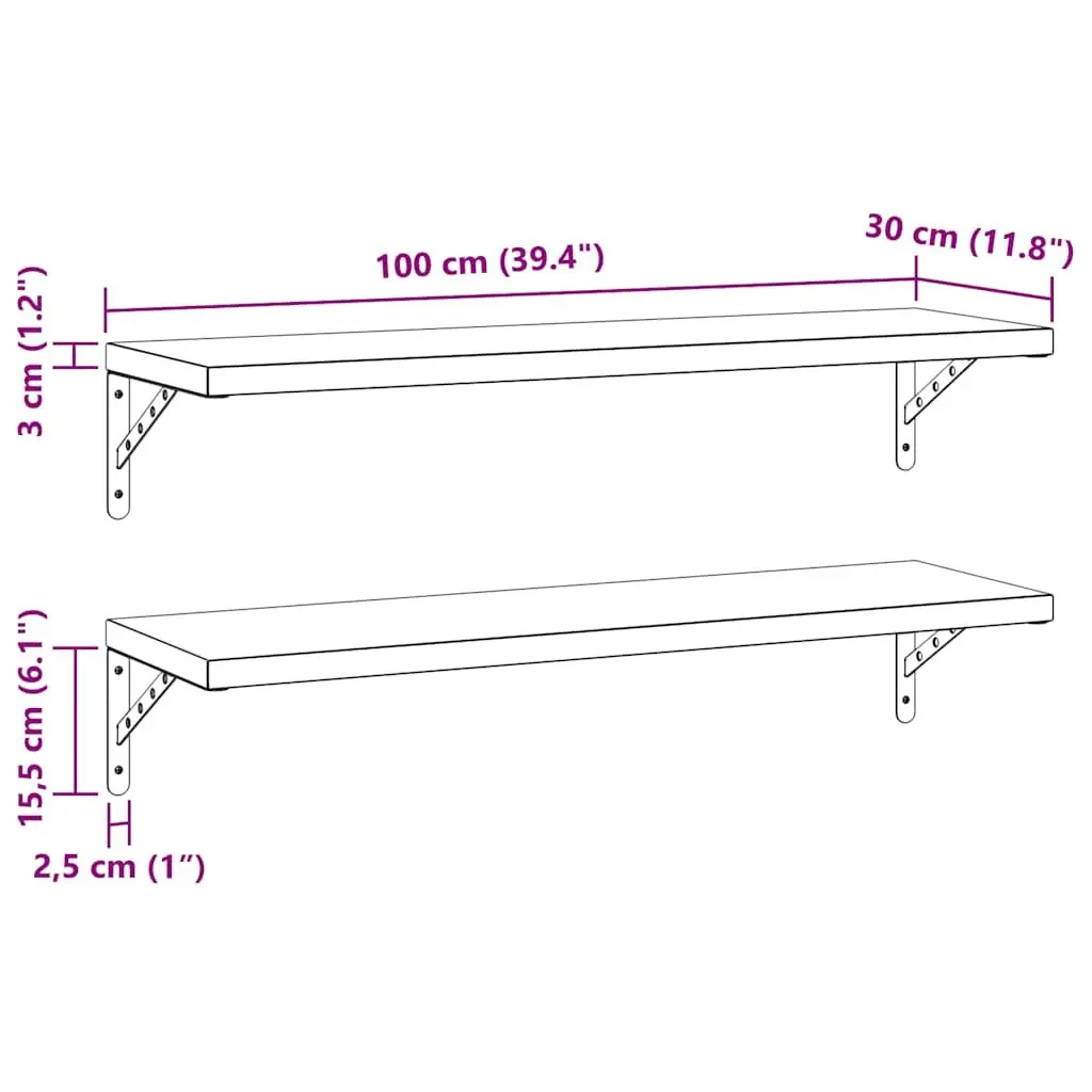 Stainless Steel Wall Shelves 2 pcs 100x30 cm Floating Storage Shelving