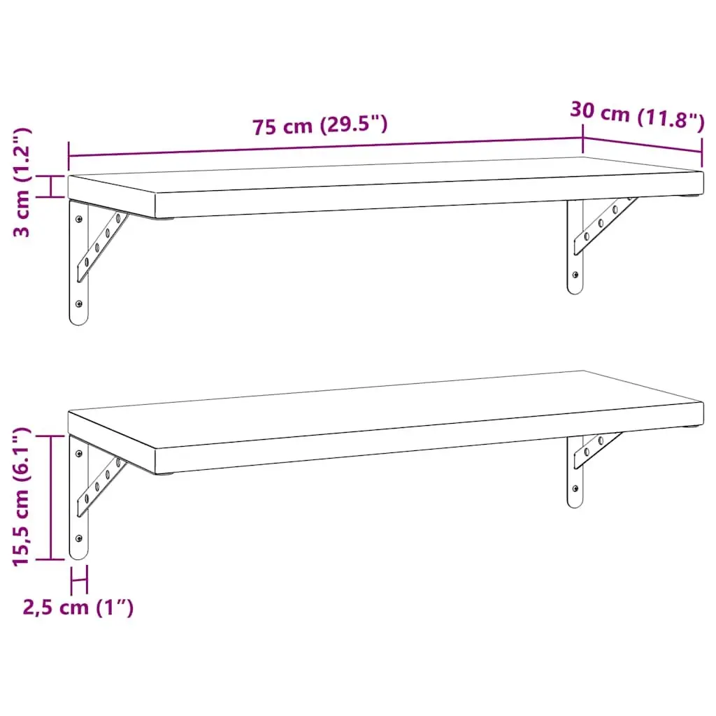 Wall Shelves 2 pcs 75x30 cm Silver Stainless Steel Floating Storage Display