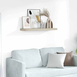 Friendly Brown Floating Wall Shelf for Your Collection