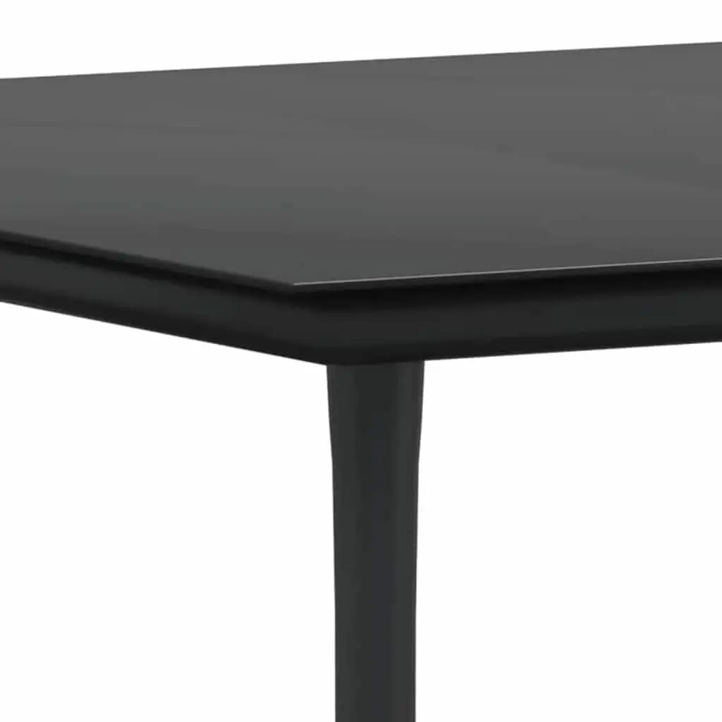 Garden Dining Set 3 Pieces Black Poly Rattan Chair Table