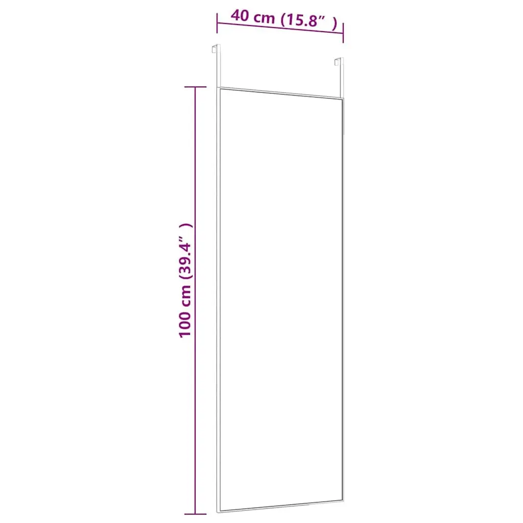 Door Mirror Black Wall Mounted 40x100cm Aluminium Frame