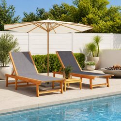 Friendly Guide to 2 pcs Adjustable Sun Loungers for You