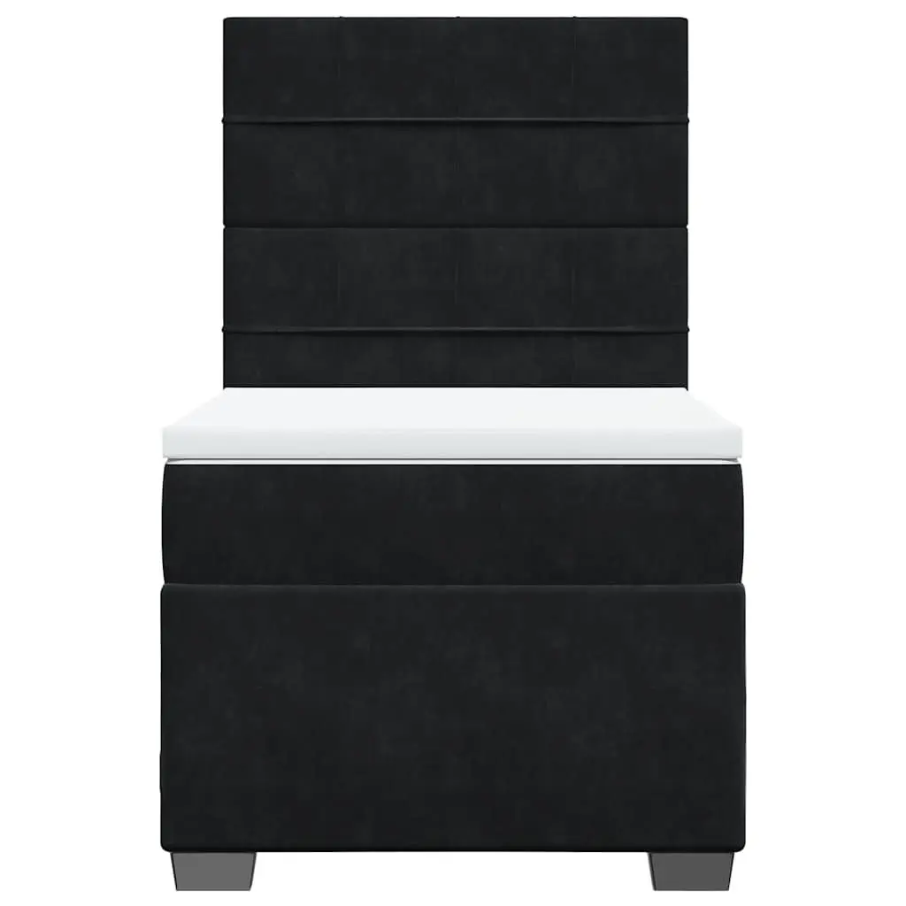 Box Spring Bed